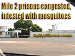 Mr Darboe and his supporters are currently held at the maximum security unit of Mile Two Prisons.